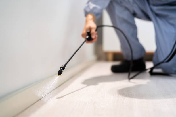 Licensed Rodent Control service in Union County County, NM - Nex Pest Control